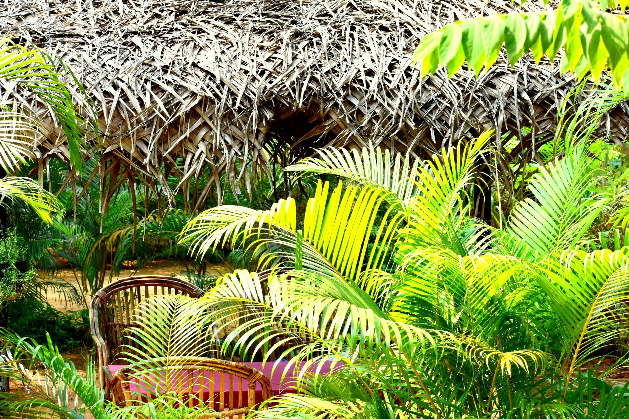 Patnem Garden Resort Patnem Beach Bagian luar foto